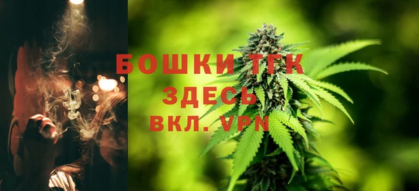 шишки Беломорск