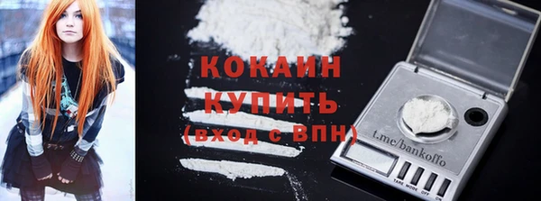 шишки Беломорск