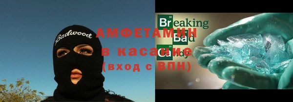 шишки Беломорск