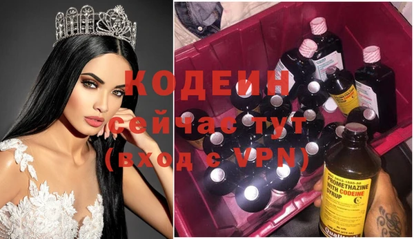 шишки Беломорск