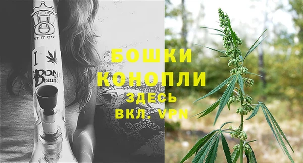 шишки Беломорск