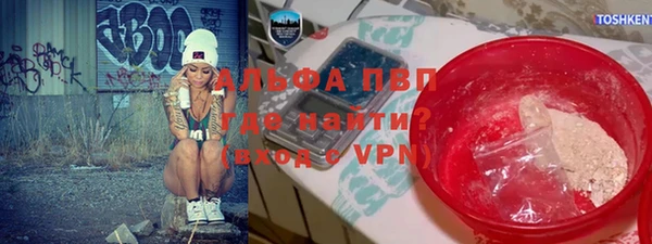 шишки Беломорск