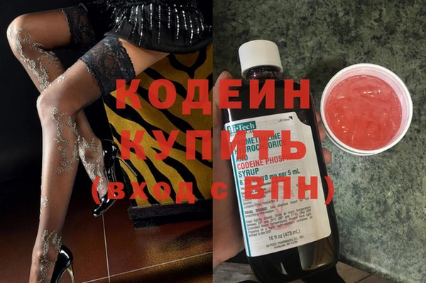 шишки Беломорск