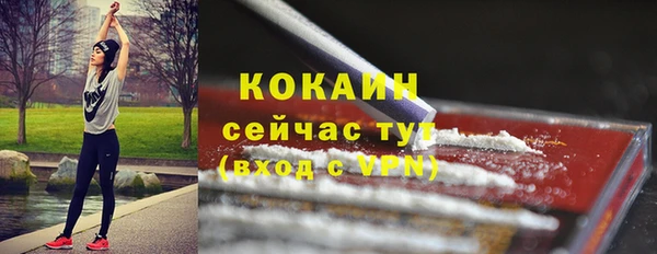 сатива Белокуриха