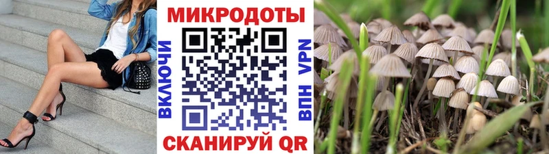 OMG   Реж  Галлюциногенные грибы прущие грибы 