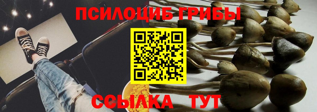 Галлюциногенные грибы Magic Shrooms Реж